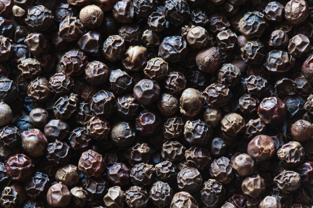 黑胡椒种子图片下载