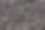 黑胡椒种子图片下载