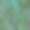 绿色细菌背景图片下载