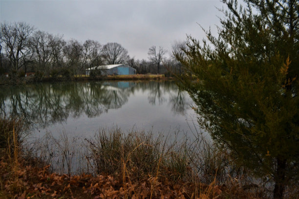 俯瞰一个池塘图片下载