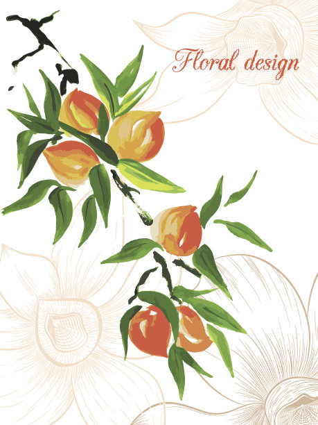 桃子设计卡片图片下载