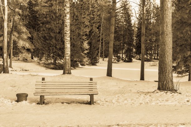 一张长凳上的雪在冬天的公园颜色深褐色图片下载