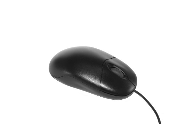 黑鼠隔离在白色上图片下载