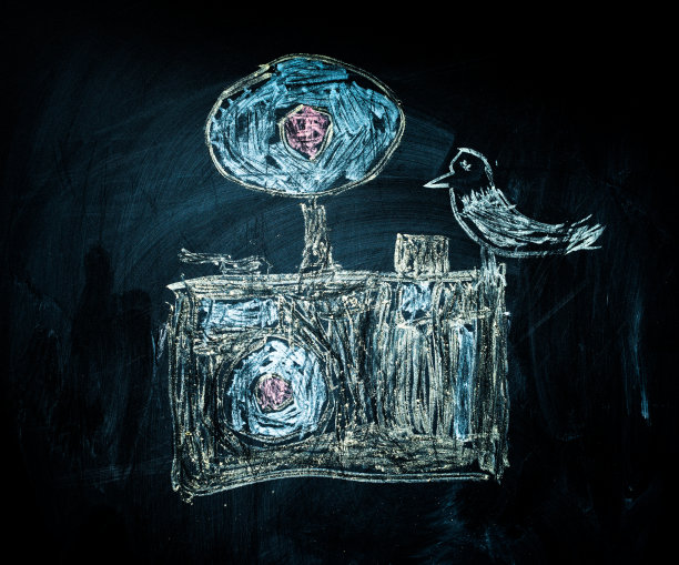 相机与鸟图片下载