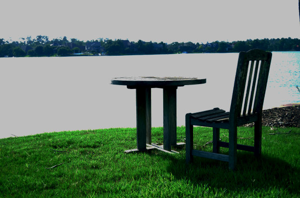 黑刺李了图片下载