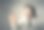 科学照片素材ID：131761636