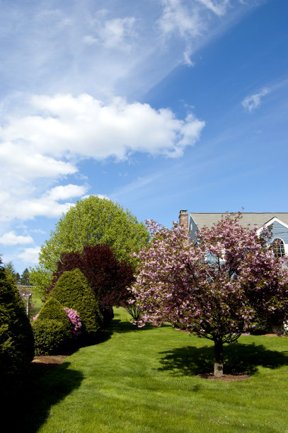 郊区绿化，蓝天白云，草坪绿图片下载