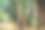 毛里求斯的一组藤本植物图片下载