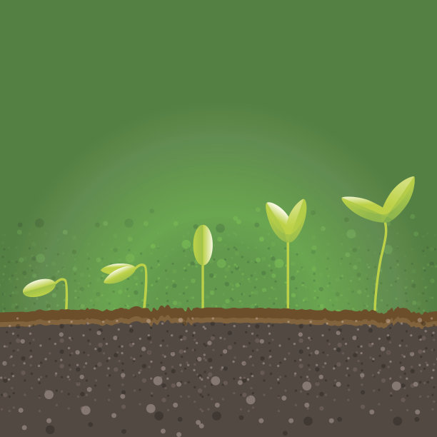 植物在生态自然的阶梯上生长图片下载