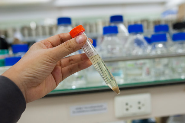 调查人员正在检查试管。图片下载