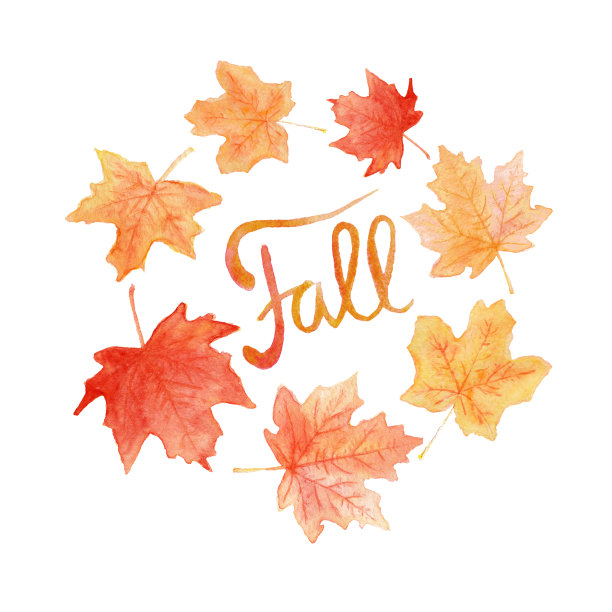 秋天水彩手绘字母和枫叶图片下载