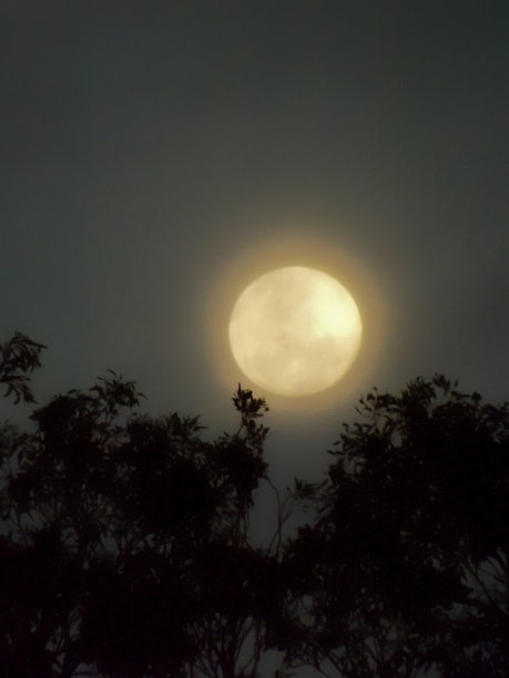 她轻轻地发出图片下载