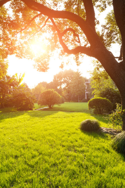 美丽的公园图片下载