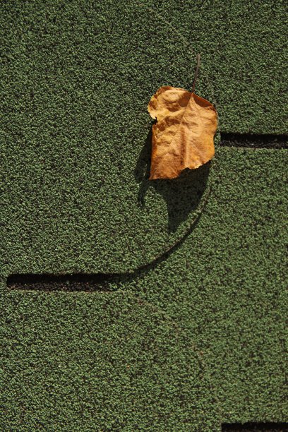 带叶子的屋顶瓦片图片下载