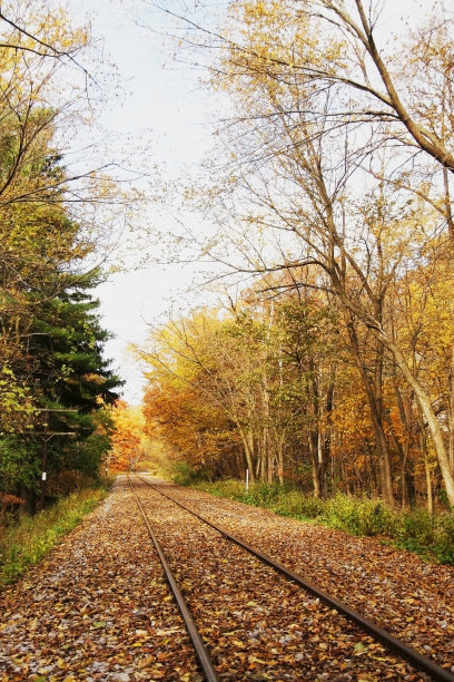 铁路轨道在秋天的森林。图片下载
