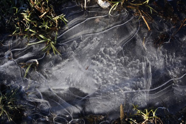 冰的表面图片下载