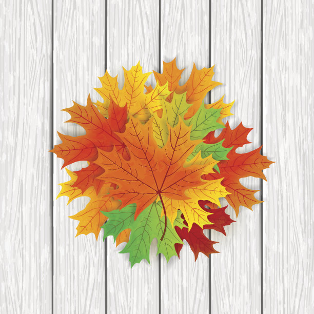 白木背景上的枫叶图片下载