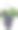 一串黑葡萄。矢量插图。图片下载