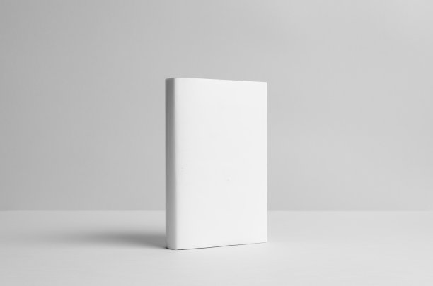 精装书模型-灰尘夹克。前面。背景墙图片下载