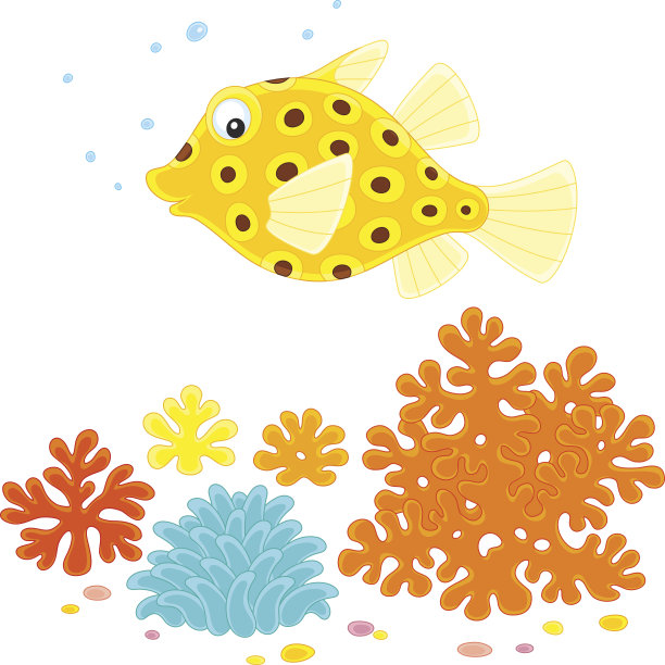 黄箱鲀图片下载