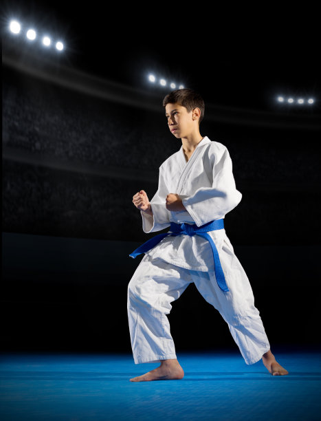 少年武术家图片下载