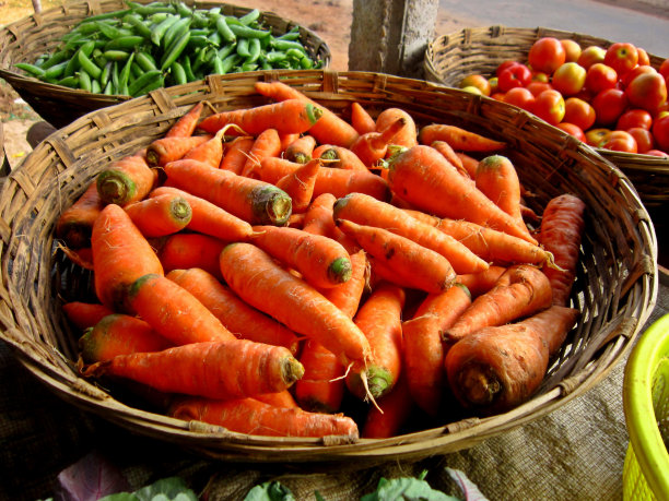 胡萝卜图片下载