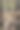 树上的稻草娃娃图片下载