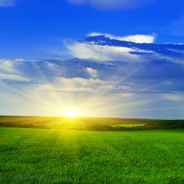 春天田野上的日落图片下载