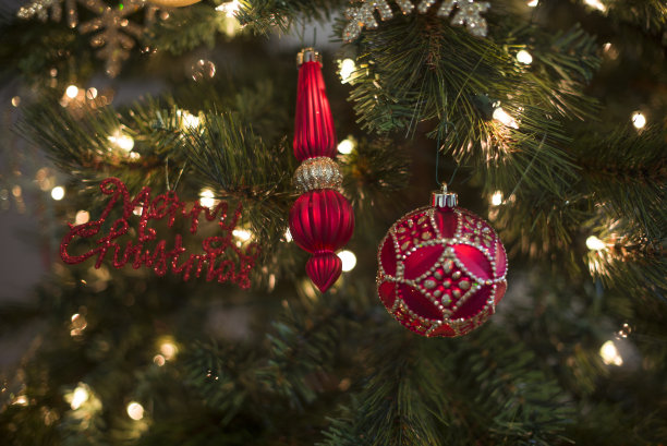 圣诞树图片下载