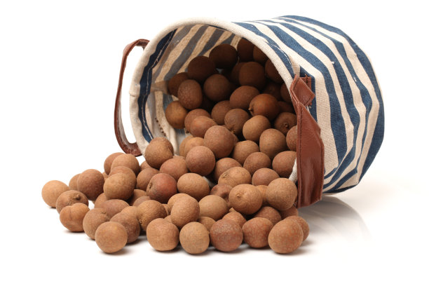 桂圆干图片下载