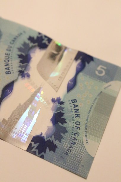 加拿大的法案图片下载