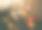 花图片素材ID：131917726