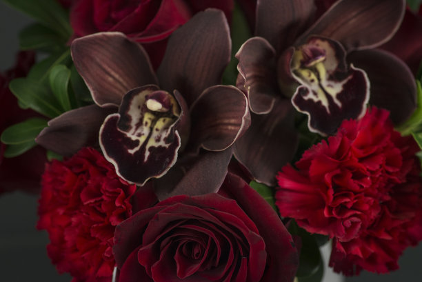 情人节鲜花和浪漫图片下载