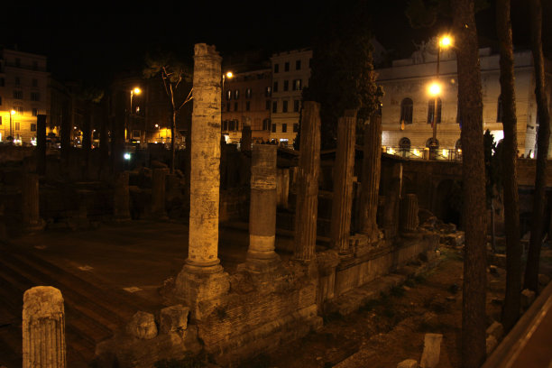 拉果在阿根廷托雷图片下载