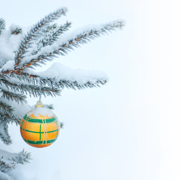 圣诞节的背景图片下载