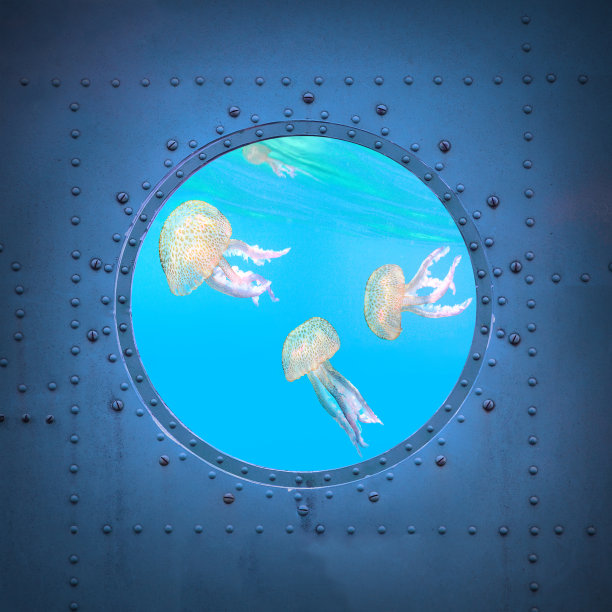 水下视野与水母。图片下载