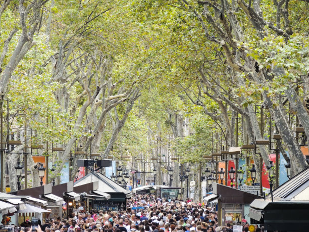 巴塞罗那拥挤的街道——兰布拉大道图片下载