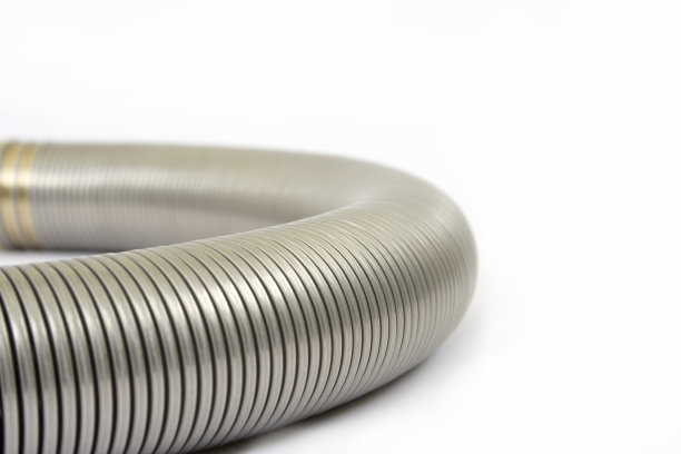 春天长图片下载