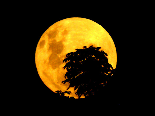 拿走梅尔图片下载