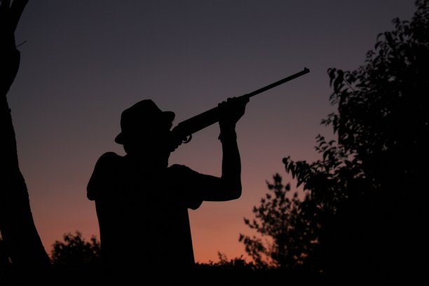 森林中的猎人图片下载