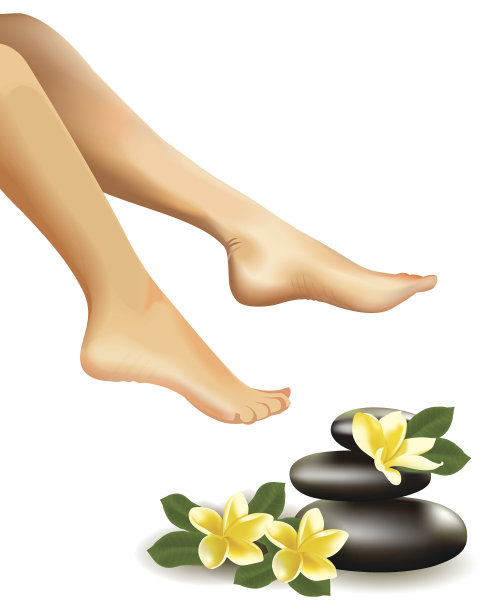 水疗概念与现实的女性脚，鸡蛋花和石头。向量图片下载