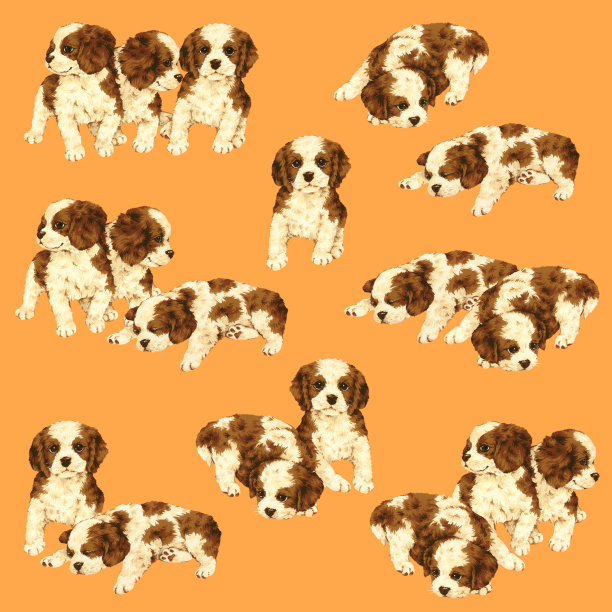 漂亮的狗插图图片下载