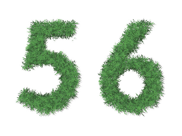 向量绿草数字母。图片下载
