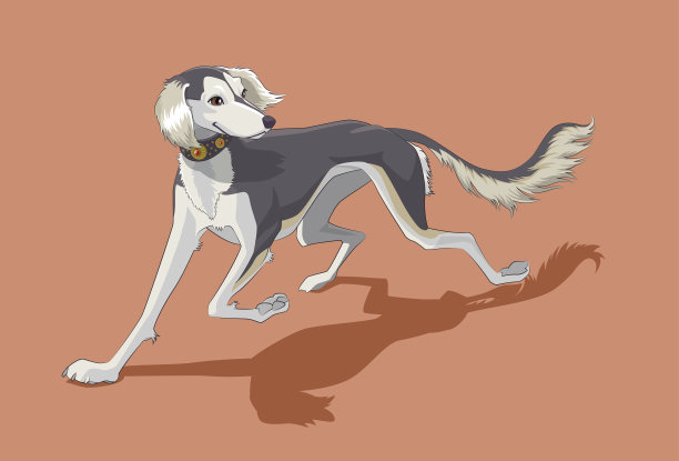 萨路基图片下载