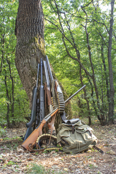 猎枪和配件背靠在森林里的一棵树上图片下载