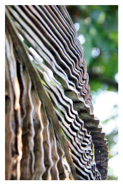 模式的叶子图片下载