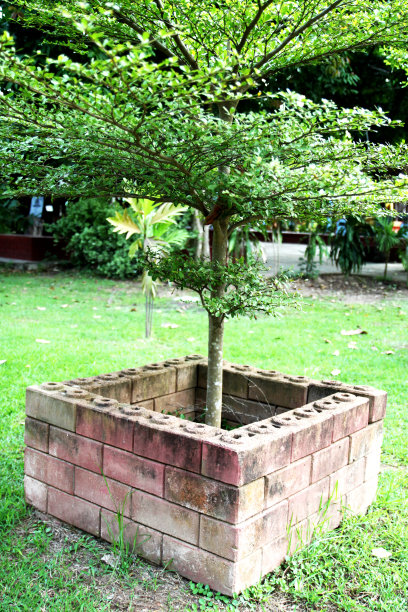 树在花园图片下载