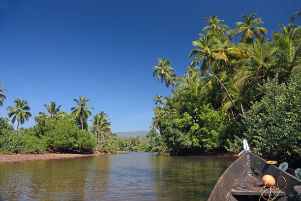 热带河流图片下载
