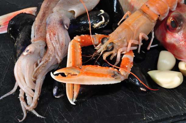 大虾、鱿鱼图片下载