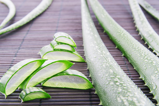 芦荟胶与芦荟叶图片下载